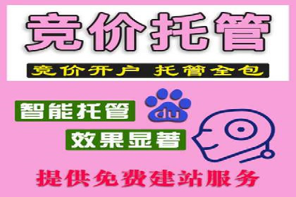 行业领先企业的SEM运营策略案例解析